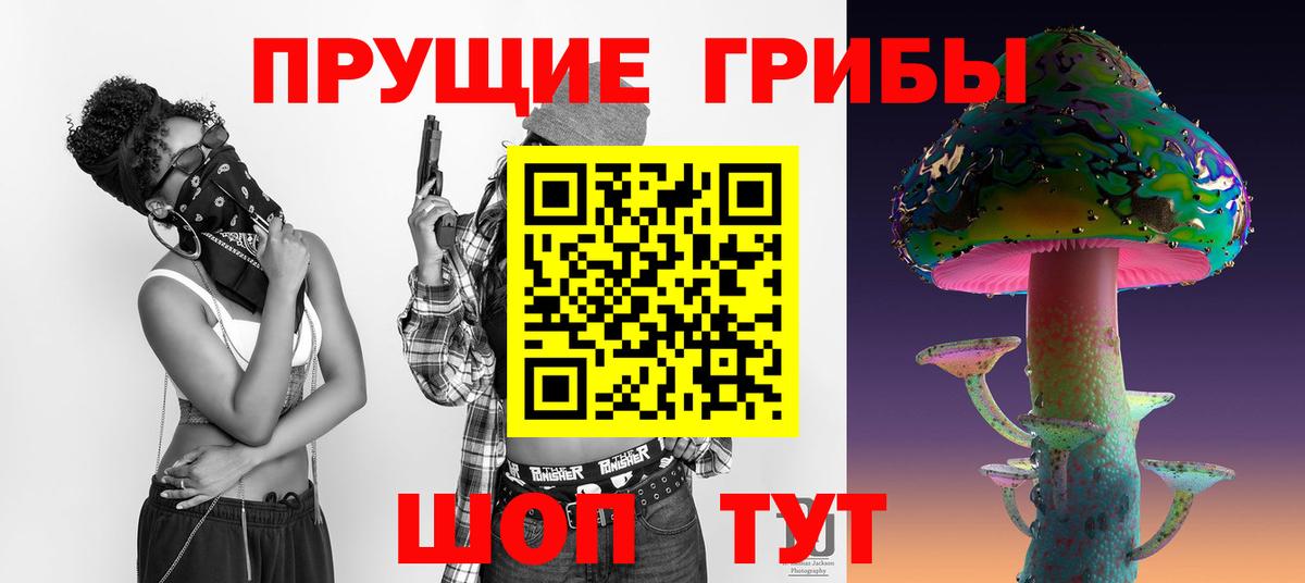 Галлюциногенные грибы Cubensis Гуково